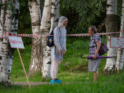 В Карелии отменили карантин по птичьему гриппу