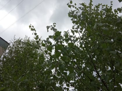 Синоптики рассказали о погоде в Карелии в первый день лета