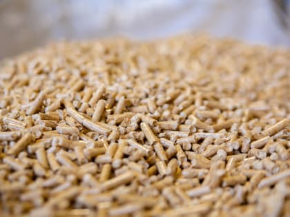 Производители пеллет Карелии нуждаются в господдержке