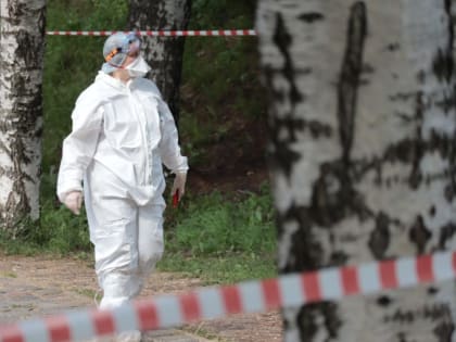 4 августа: главное за день