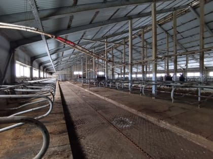 Ферму в Ладве восстановит компания «Гранд Агро»