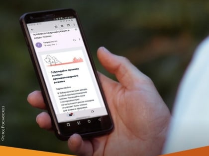 Жители Карелии теперь будут узнавать о запретах и ограничениях на посещение лесов в регионе через "Госуслуги"