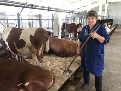 Фермер из Лоухского района приглашает к себе в хозяйство на постоянную работу