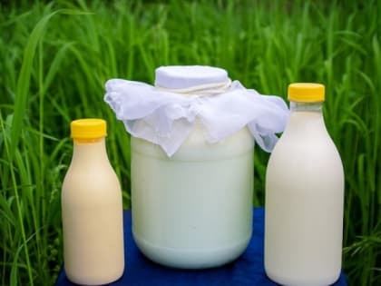 В Минсельхозе Карелии объяснили необходимость консервации молокозавода