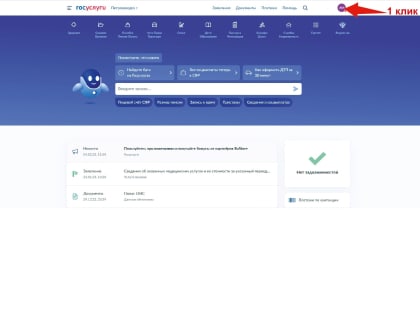 Глава карельского Минздрава объяснил, как посмотреть свою медкарту на Госуслугах