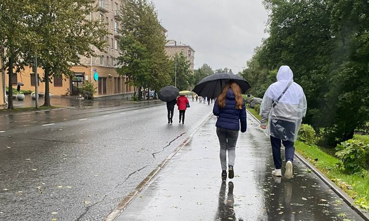 На луговине гулял ветерок и пока мы