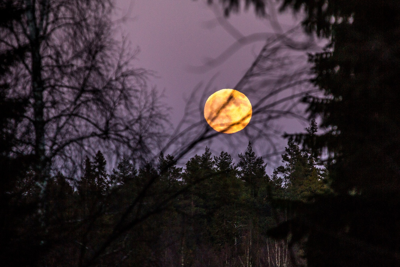 Затмение вчера фото