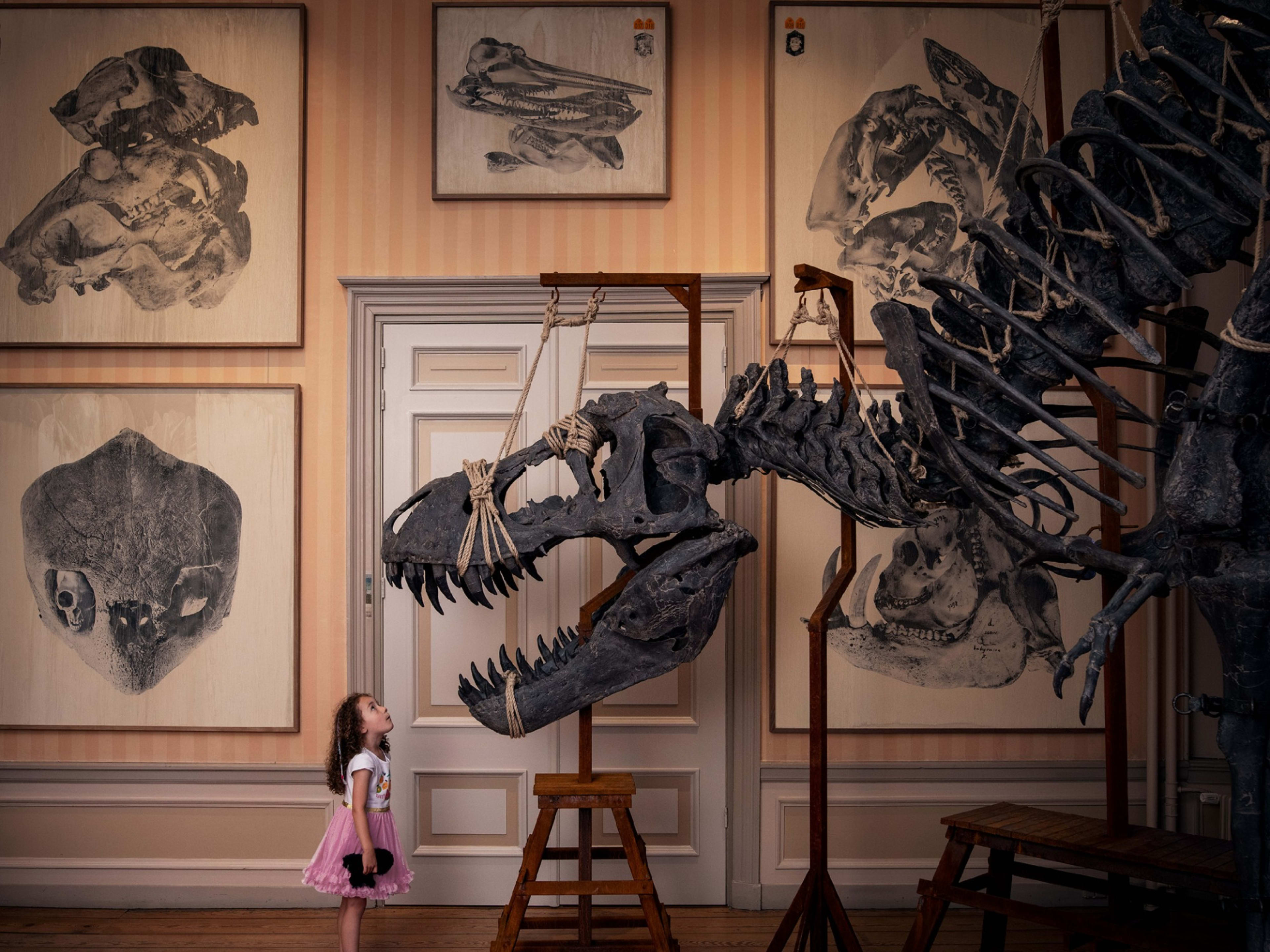 Art Zoo Museum x Fabrique des Lumières
