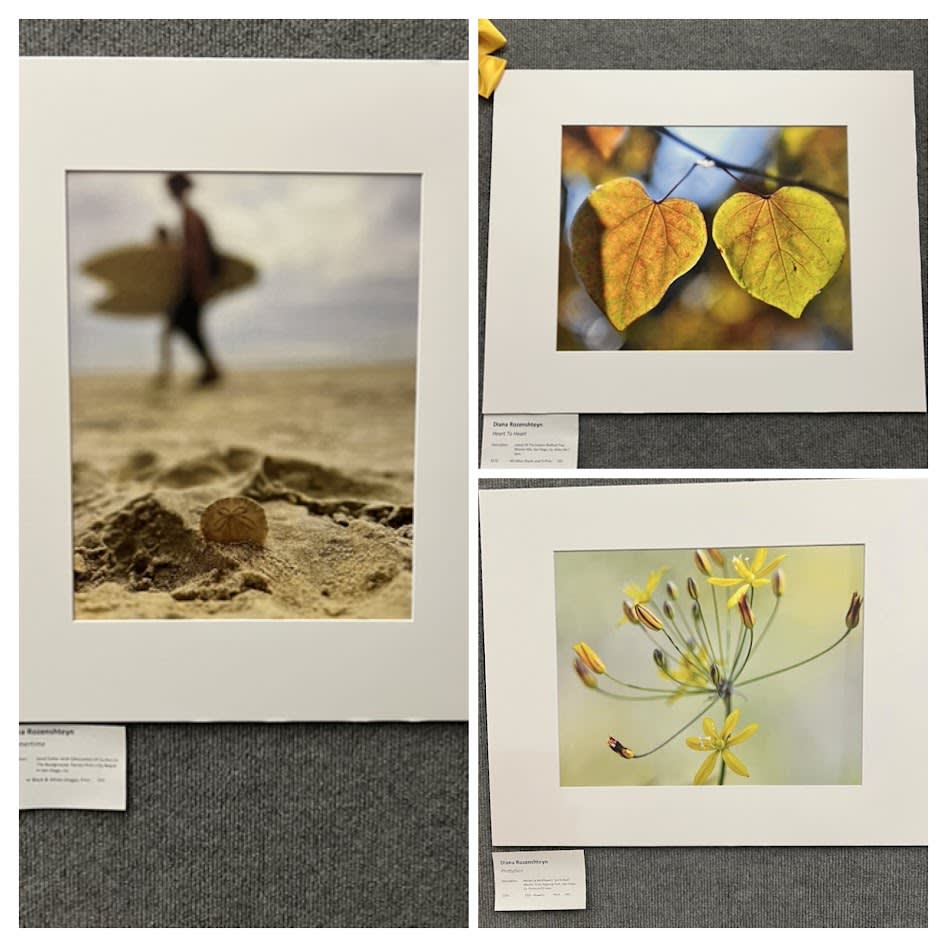 San Diego County Fair Photography Competition - San Diego
