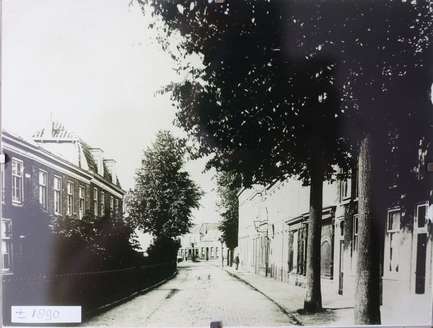 Herenstraat voortuintjes