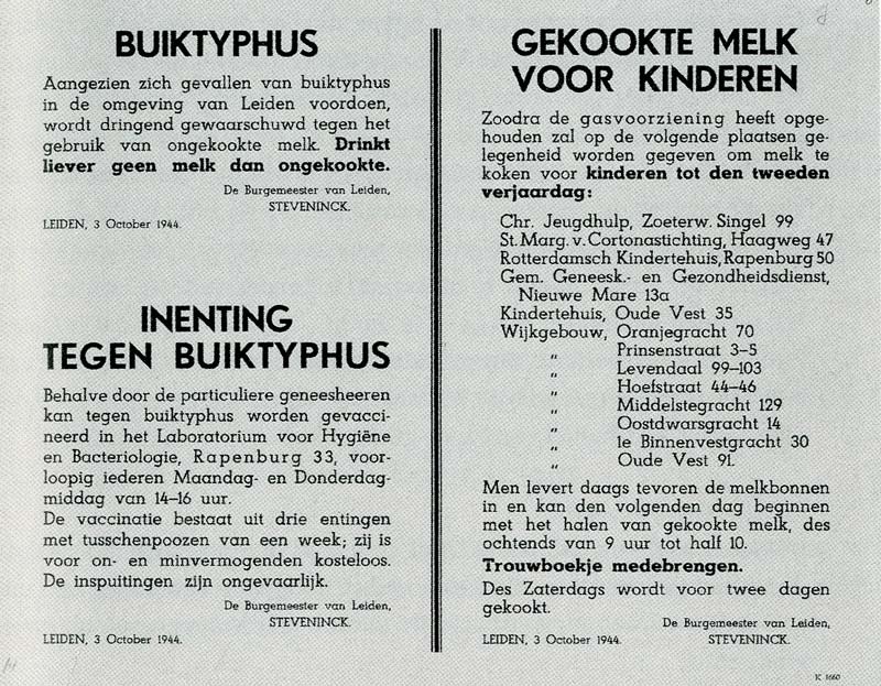 Inenting buiktyphus