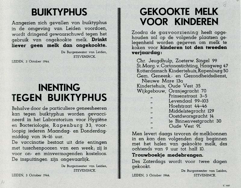 Inenting buiktyphus