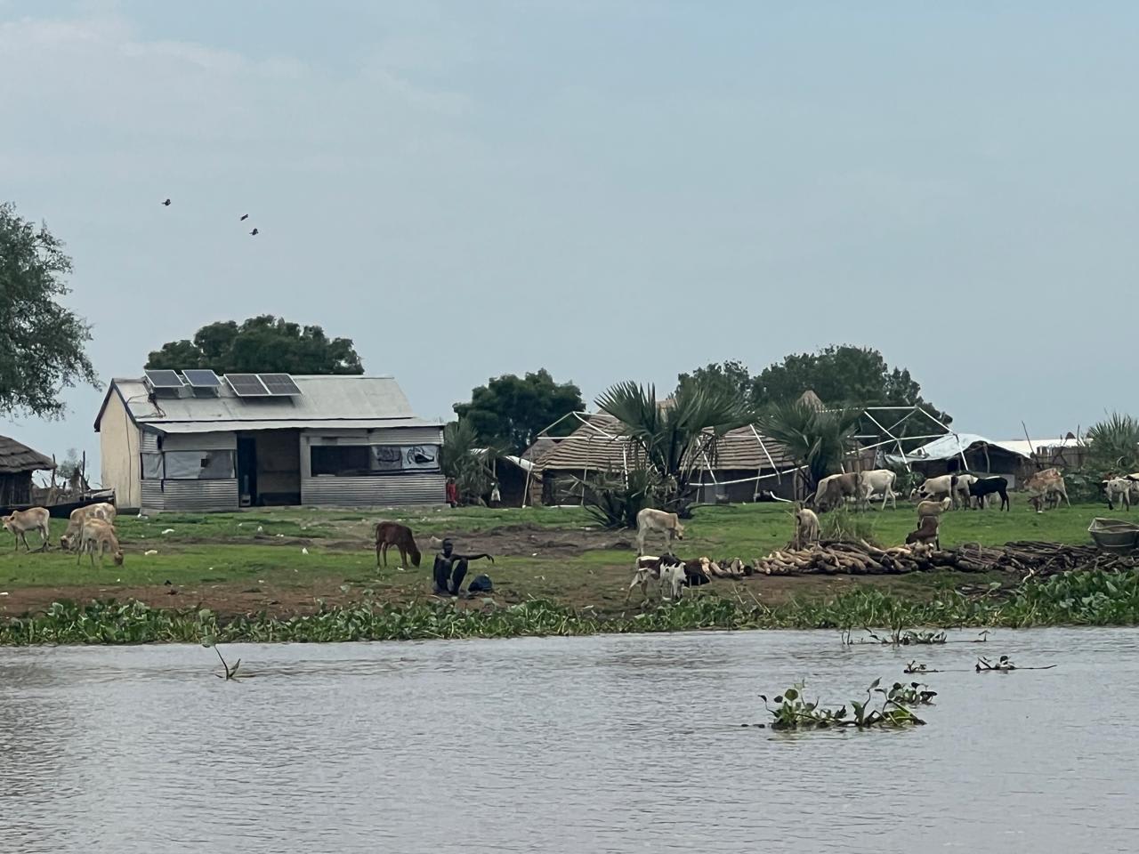 Assessment Visit to Baliet County, Upper Nile State photo 5