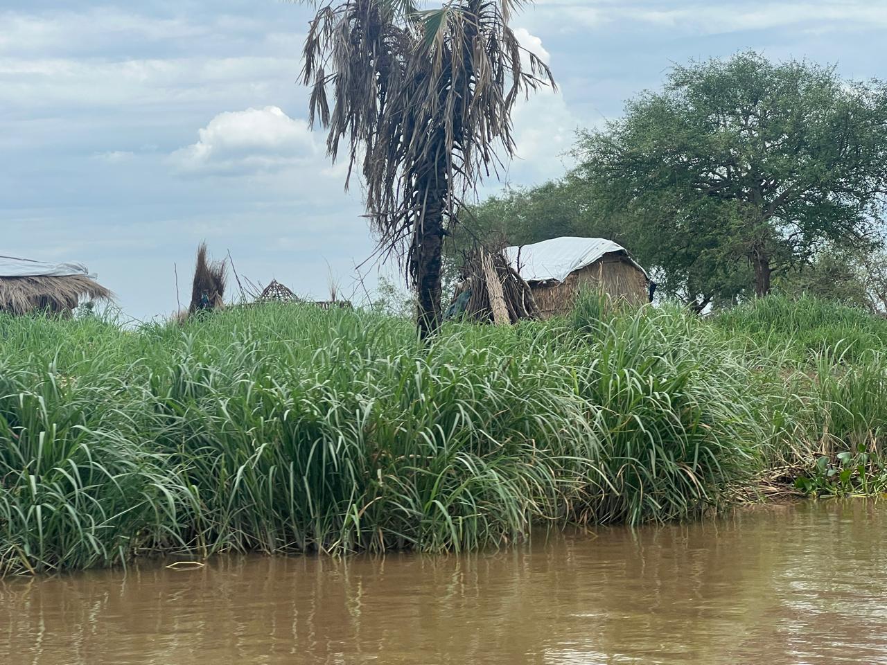 Assessment Visit to Baliet County, Upper Nile State photo 2