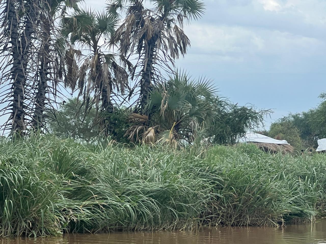 Assessment Visit to Baliet County, Upper Nile State photo 3