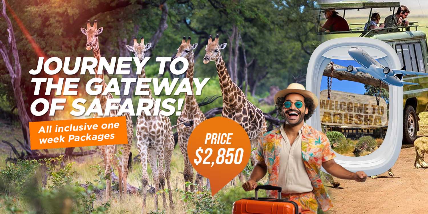 #Trippoint #SpecialTour  #GroupTour #Tourism #Tour #BestTourPackage #CheapestTour #Bestplace