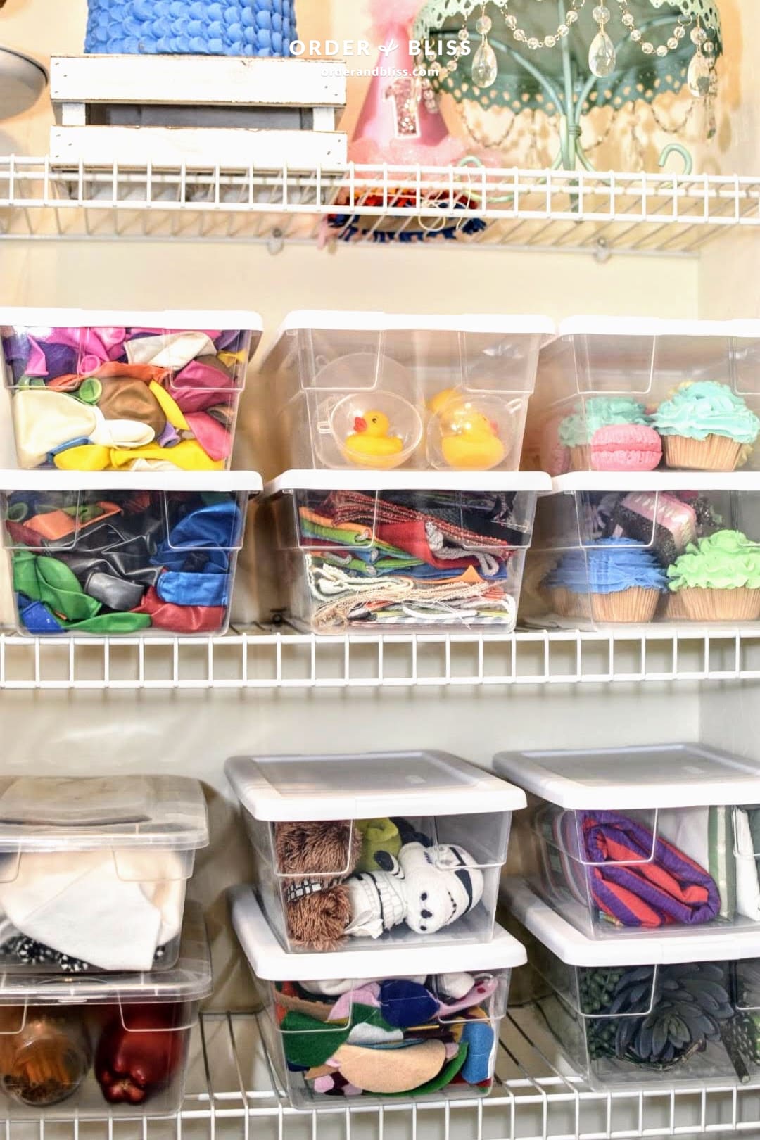 Organized shelves of a Phoenix photography studio