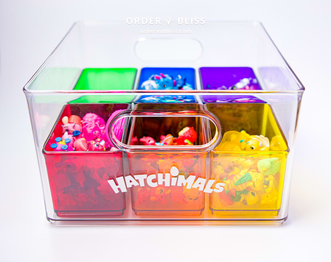 Hatchimals rainbow storage