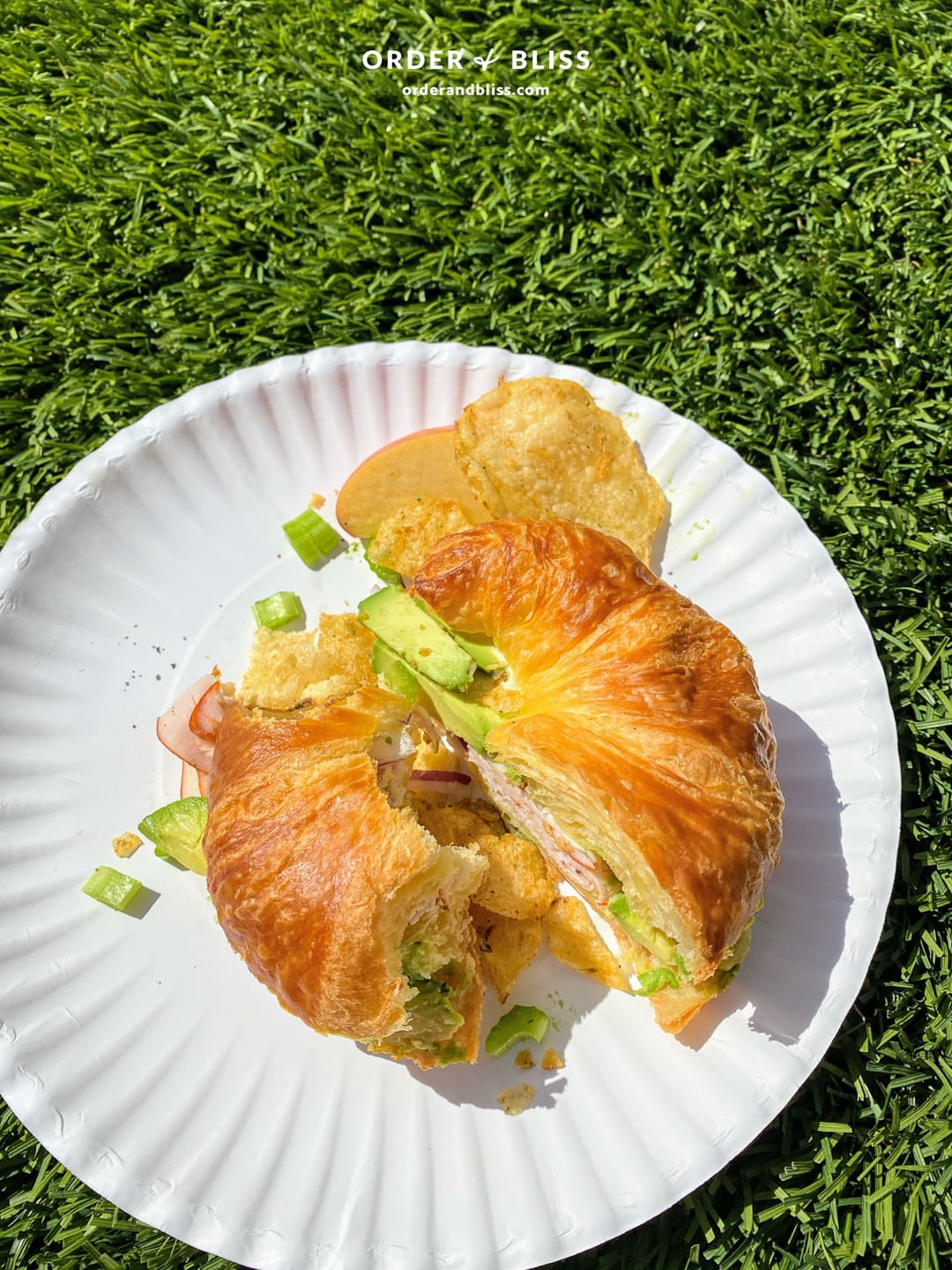 Croissant sandwich picnic in the grass