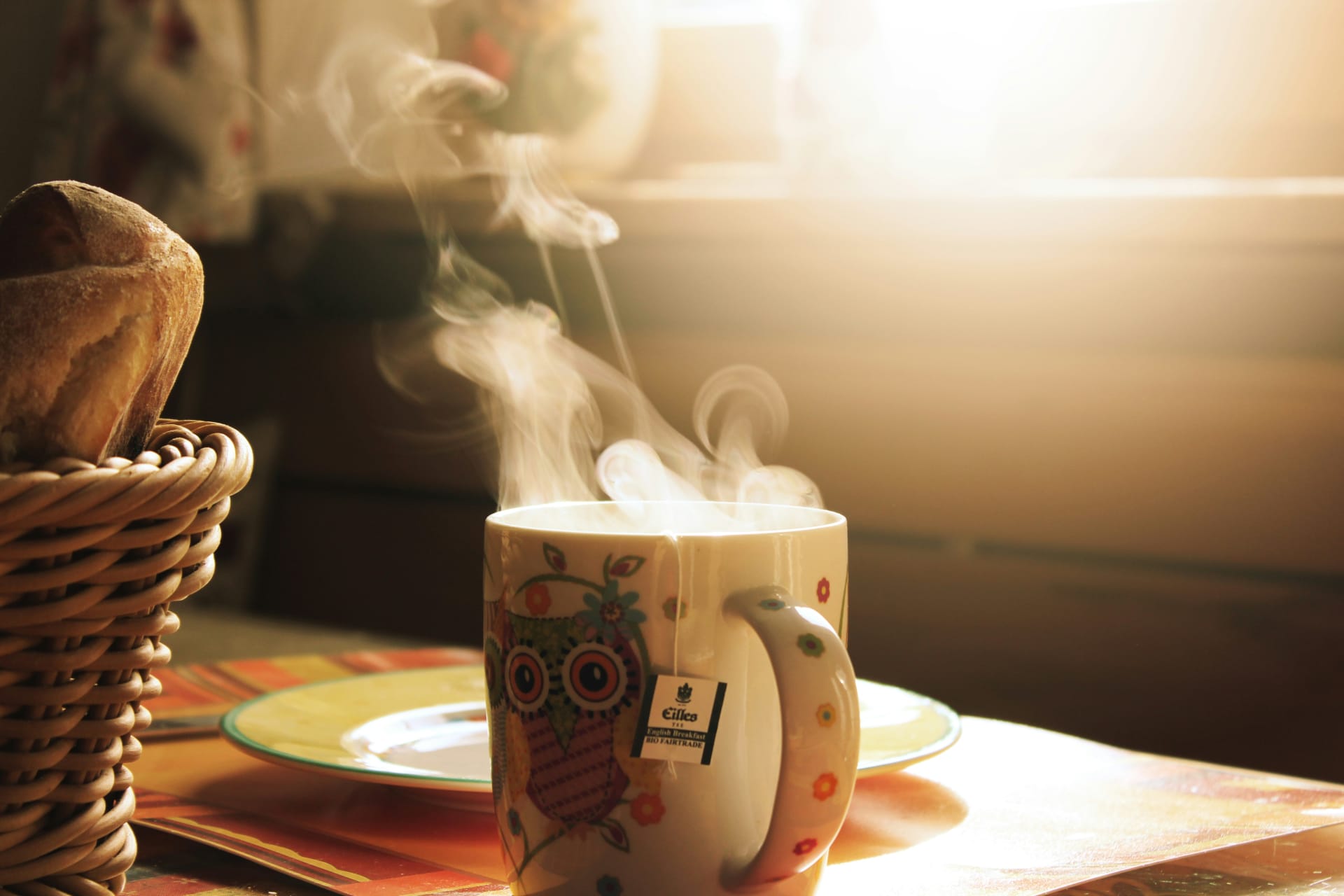 Une chaleur qui mérite qu'on s'y prépare… Pourquoi faut-il préparer sa maison avant l'hiver ?
