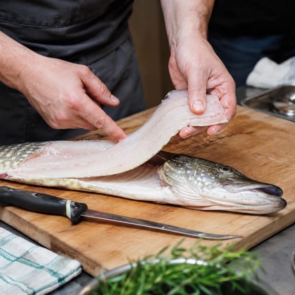 Cuisiner avec différents poissons du lac Léman 🐟