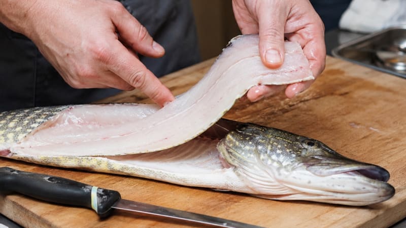 Cuisiner avec différents poissons du lac Léman 🐟 1