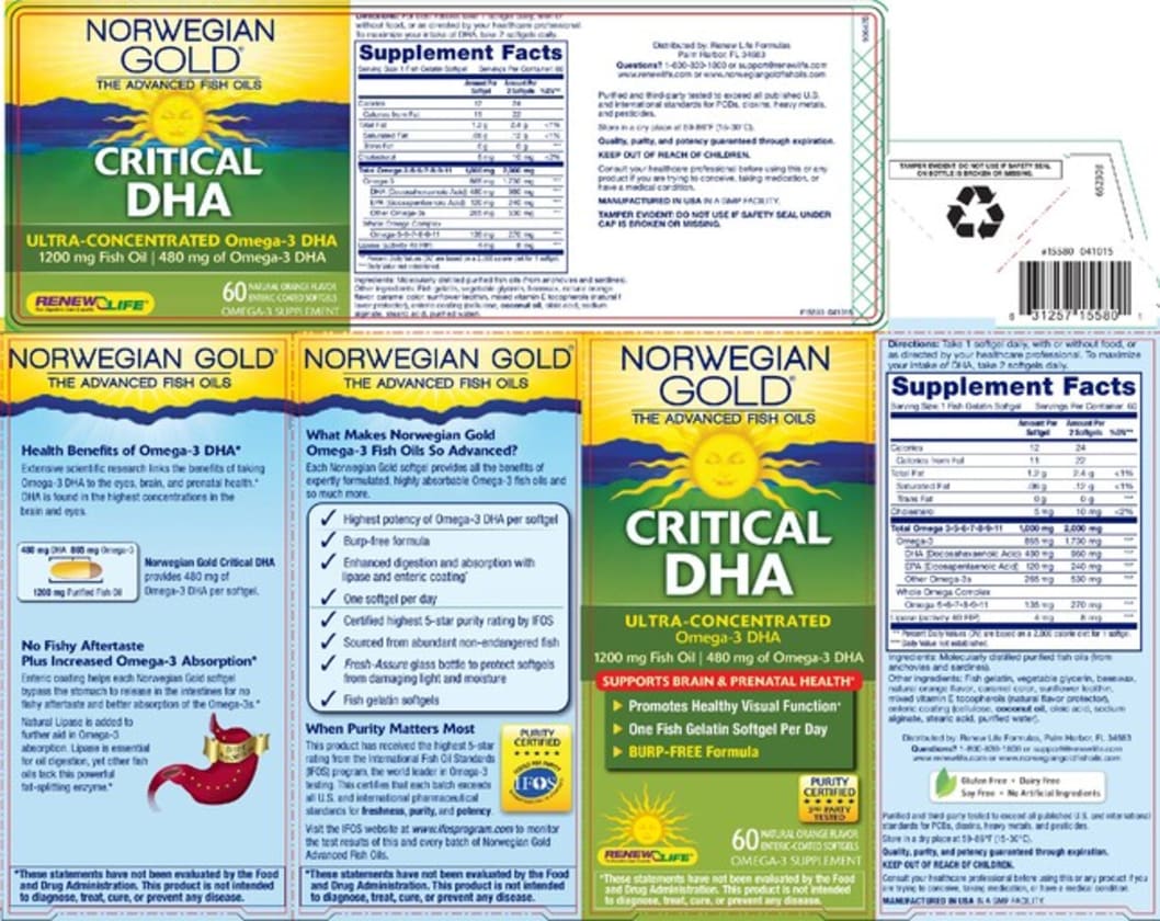 Norwegian Gold Critical DHA Natural Orange Flavor from Renew Life 