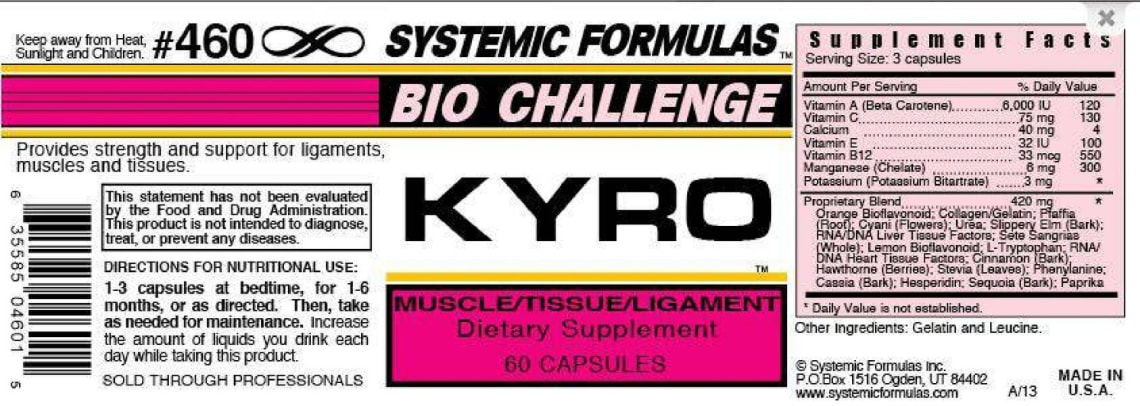KYRO Muscle/Tissue/Ligament from Systemic Formulas Bio Challenge
