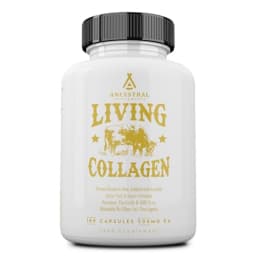Living Collagen