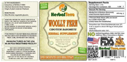 Woolly Fern