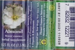 Almond Flower Essence