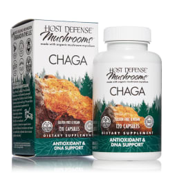 Chaga