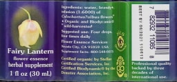 Fairy Lantern Flower Essence