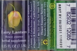 Fairy Lantern Flower Essence