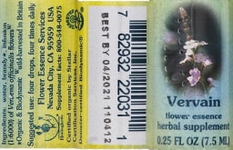 Vervain Flower Essence