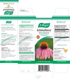 A.Vogel Echinaforce