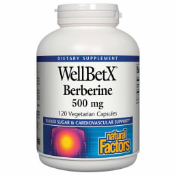 WellBetX Berberine 500 mg