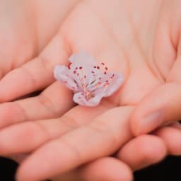 Healthy Liver Support