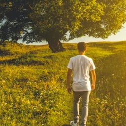 Testosterone Support for Men