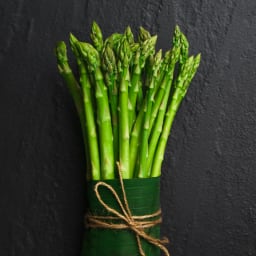 Mitochondria Support