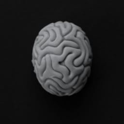 Brain Fog Support