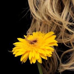 Women's Hair Nourishment