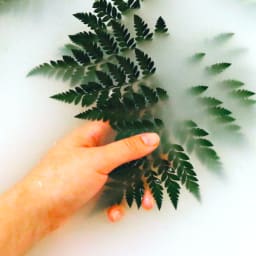 Essential Detox Support