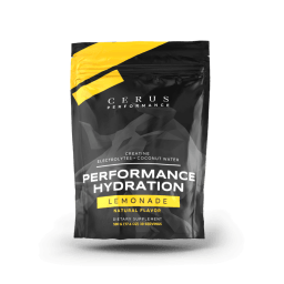 Performance Hydration (Lemonade)