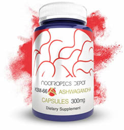 KSM-66 Ashwagandha 300mg