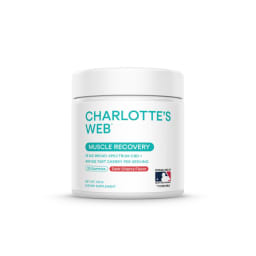 Muscle Recovery Gummies