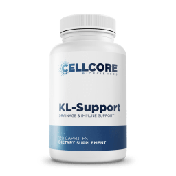 KL Support
