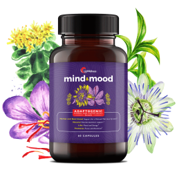 Mind & Mood