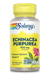 Echinacea Purpurea