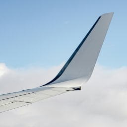 Travel Immune Support